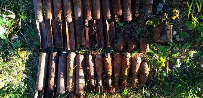 В Карпатах на горе Маковица спасатели нашли гранаты и мины: фото - Фото