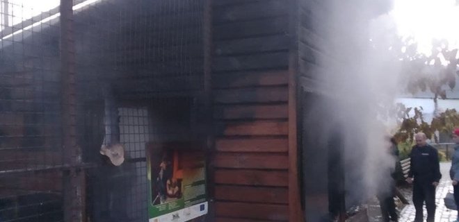 В зоопарке Луцка произошел пожар: погибли трое животных  - Фото