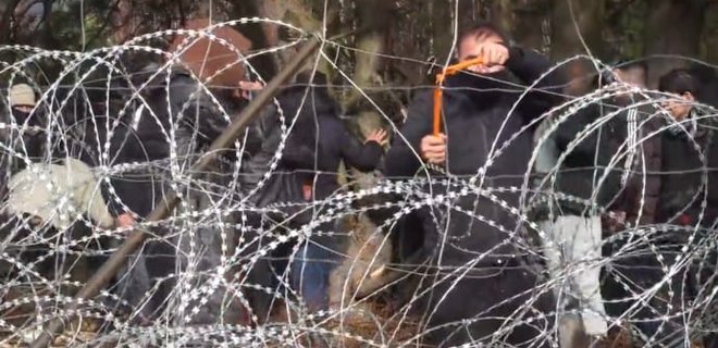 Две группы мигрантов смогли прорваться в Польшу из Беларуси - Фото