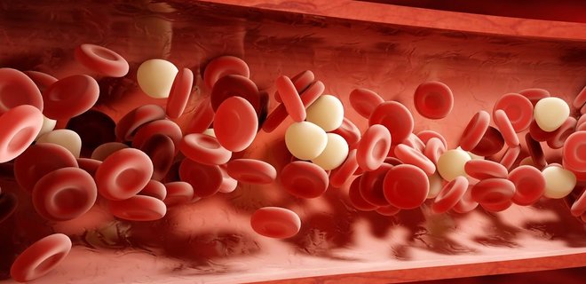 Все, що ви хотіли знати про препарати крові та кровозамінники - Фото