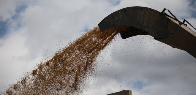 Еще шесть сухогрузов получили разрешение на вывоз зерна из украинских портов - Фото