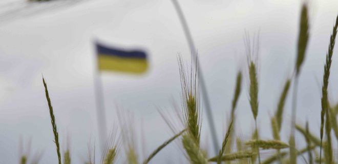 Польща заборонила ввезення зерна та іншої сільськогосподарської продукції з України - Фото
