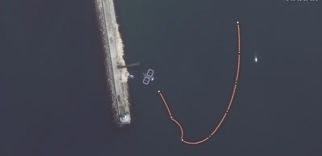 Россия усиливает оборону Севастопольской бухты, используя и боевых дельфинов – Naval News - Фото
