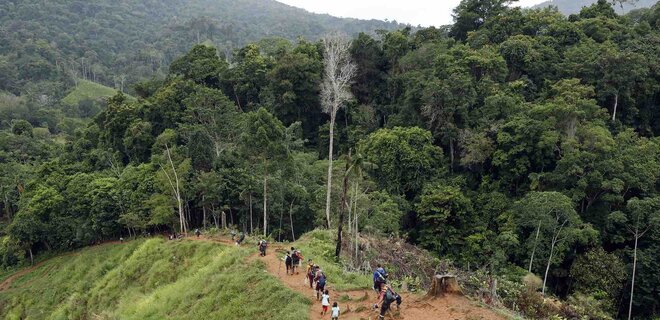 Четверых детей нашли живыми через две недели после падения самолета в джунглях Колумбии - Фото
