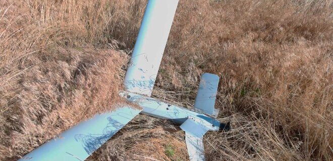 Воздушные силы уничтожили на юге два российских дрона - Фото